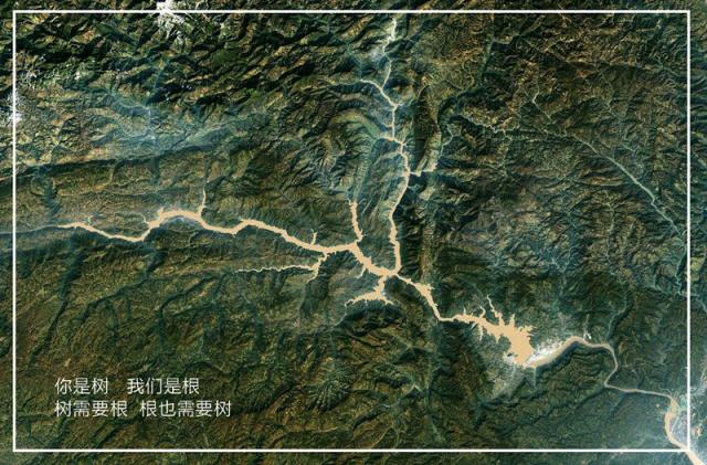 树与根