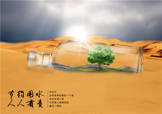 节约用水之瓶中树